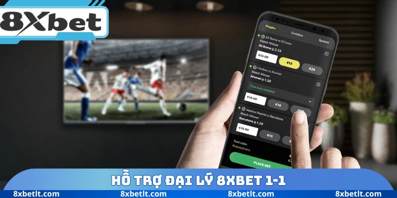 Hỗ trợ đại lý 8XBET 1-1
