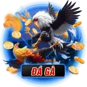 đá gà 8xbet
